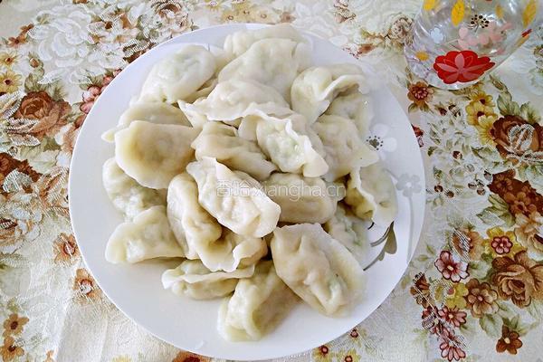 扇贝芹菜肉饺子