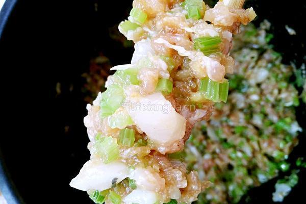 扇贝芹菜肉饺子的做法图解4