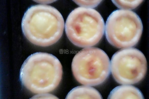 蛋挞的做法图解7
