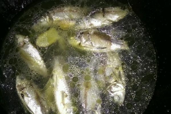 野生鲫鱼汤的做法图解5