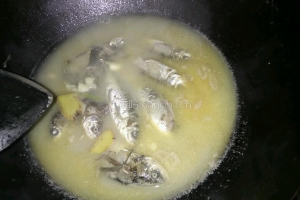 野生鲫鱼汤的做法图解6