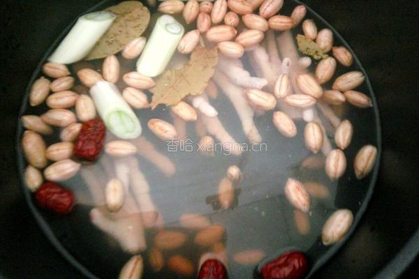 鸡爪花生煲的做法图解6