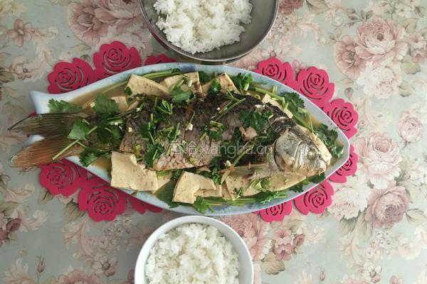 鲤鱼炖豆腐