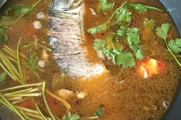 鲤鱼炖豆腐的做法图解5