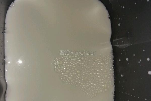 老酸奶的做法图解2