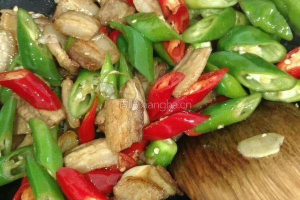 临沂小炒肉的做法图解6