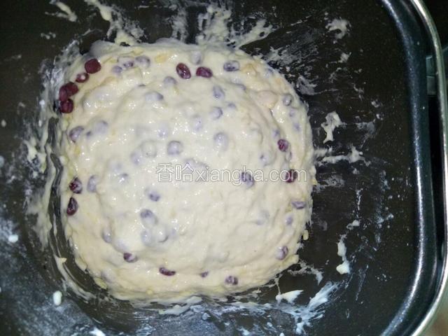 搅拌出来应是湿润的稠糊状（和面一共只需5分钟，搅拌太久会起筋，蒸出来成了面包的口感，比较干）