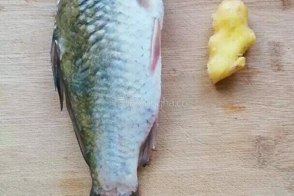 鲫鱼汤的做法图解3