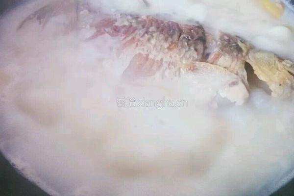 鲫鱼汤的做法图解4