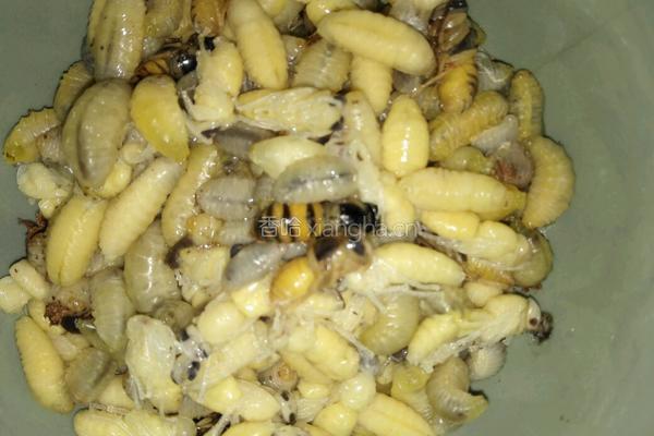 隔水蒸蜂蛹饭的做法图解2