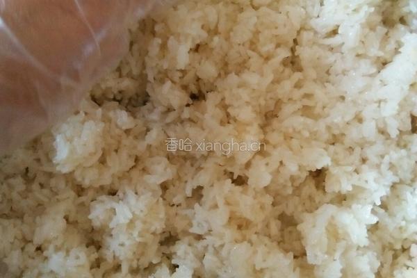 自制醪糟的做法图解8