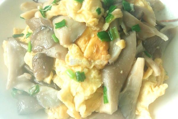 平菇炒鸡蛋