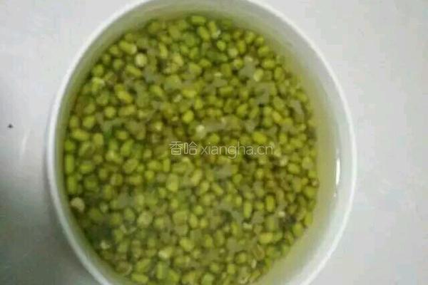 绿豆芽的做法图解1