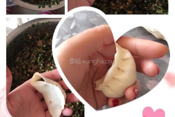 韭菜香菇木耳肉饺子的做法图解7