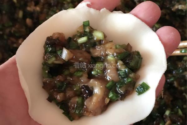 韭菜香菇木耳肉饺子的做法图解6