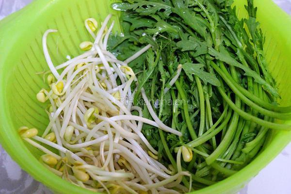 韩国牛肉豆腐锅的做法图解4