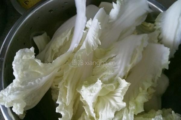 白菜炖豆腐的做法图解3