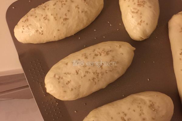 热狗面包（波兰种）的做法图解11