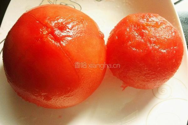 番茄浓汁烧豆腐的做法图解7