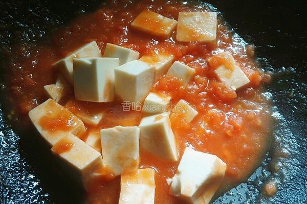 番茄浓汁烧豆腐的做法图解11