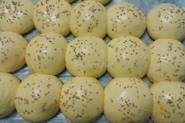 红豆沙小餐包的做法图解16