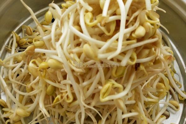豆芽炖粉条的做法图解1