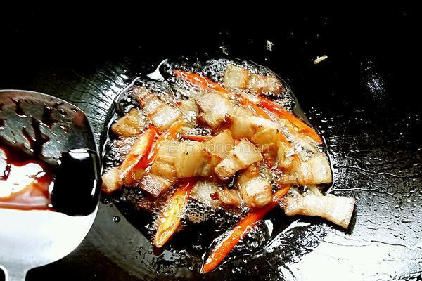 霉豆渣饼烧五花肉的做法图解16
