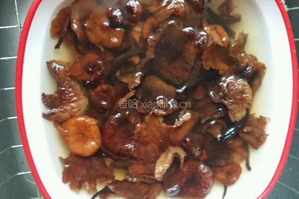 小鸡炖蘑菇的做法图解4