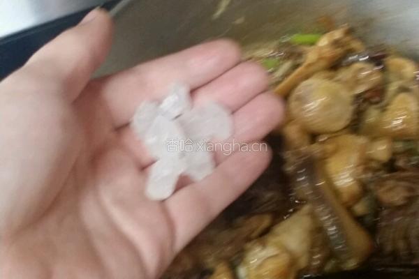 小鸡炖蘑菇的做法图解14