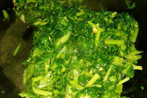素炒茼蒿菜的做法图解5