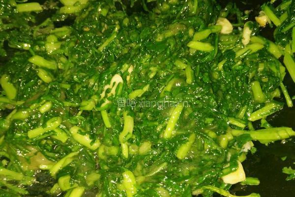 素炒茼蒿菜的做法图解6