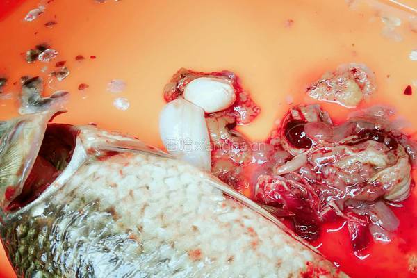 鸡蛋豆腐鲫鱼汤的做法图解6