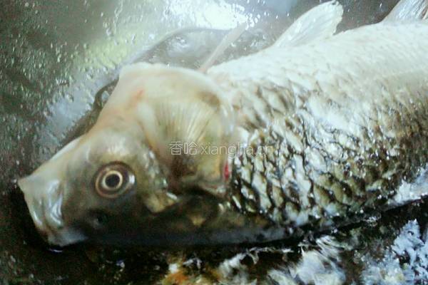 鸡蛋豆腐鲫鱼汤的做法图解9