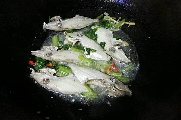 剥皮鱼煮芹菜的做法图解7
