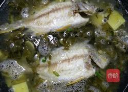 酸菜鱼的做法图解7