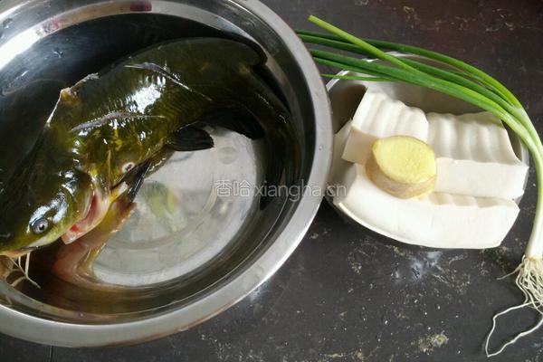豆腐黄骨鱼汤的做法图解1