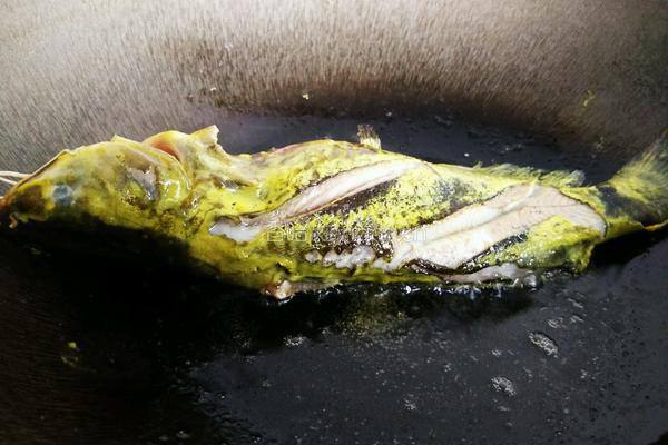 豆腐黄骨鱼汤的做法图解4
