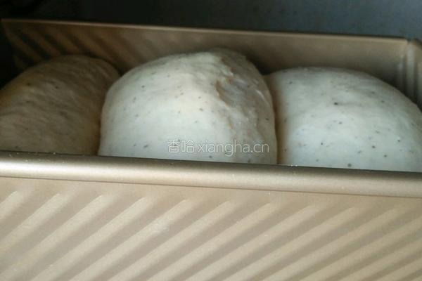 黑豆渣山形吐司的做法图解12