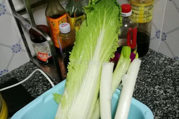 包子的做法图解1