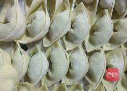 韭菜鸡蛋饺子的做法图解8