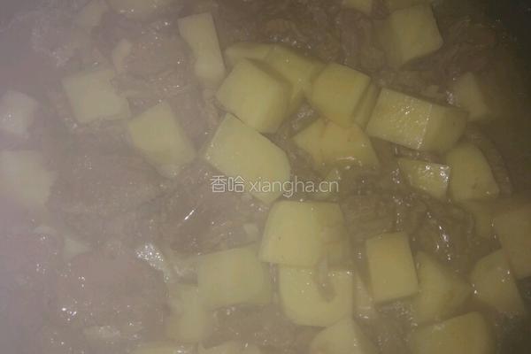 牛肉炖土豆的做法图解4