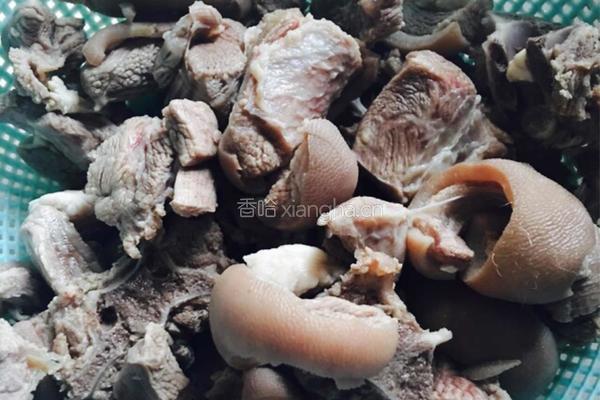 萝卜焖羊肉的做法图解4