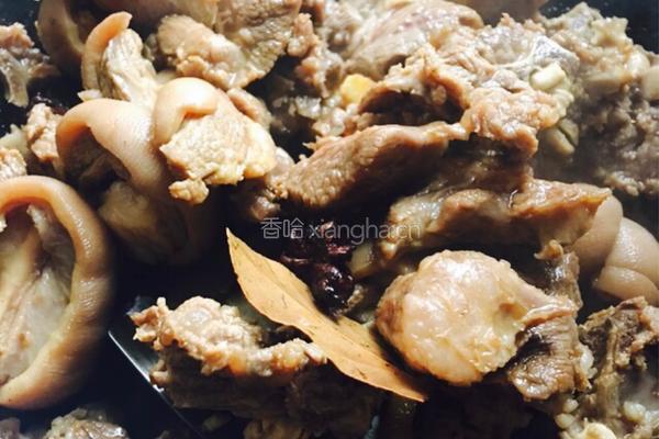 萝卜焖羊肉的做法图解7