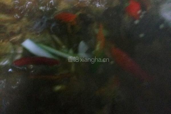 密方红烧鱼的做法图解4