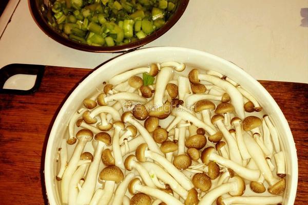 菌菇鱼片虾丸生滚粥的做法图解10
