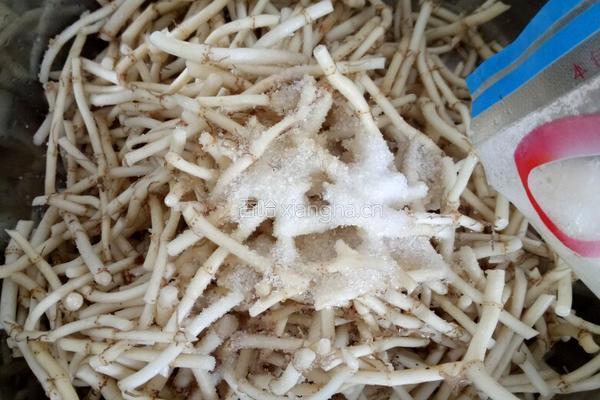 凉拌香根的做法图解2