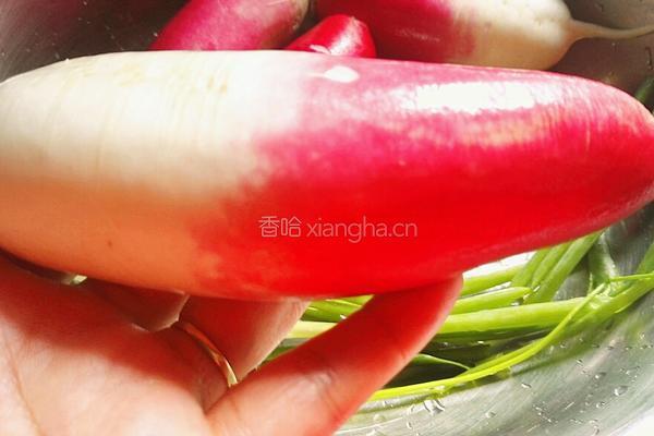 葱油萝卜丝的做法图解2