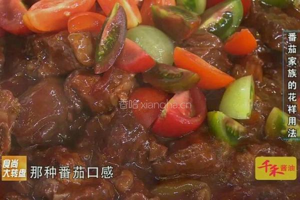 CCTV7食尚大转盘 番茄牛腩的做法图解5