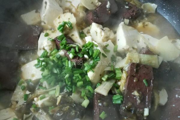 猪血轧豆腐的做法图解6