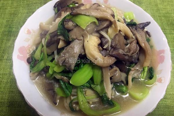 蘑菇小油菜的做法图解5